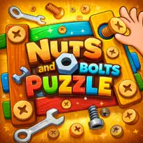 Nuts And Bolts Puzzle